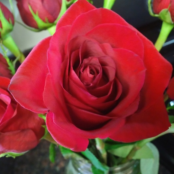 Meet your Posher, Ambassador II Meg B. - Picture 15 of 16